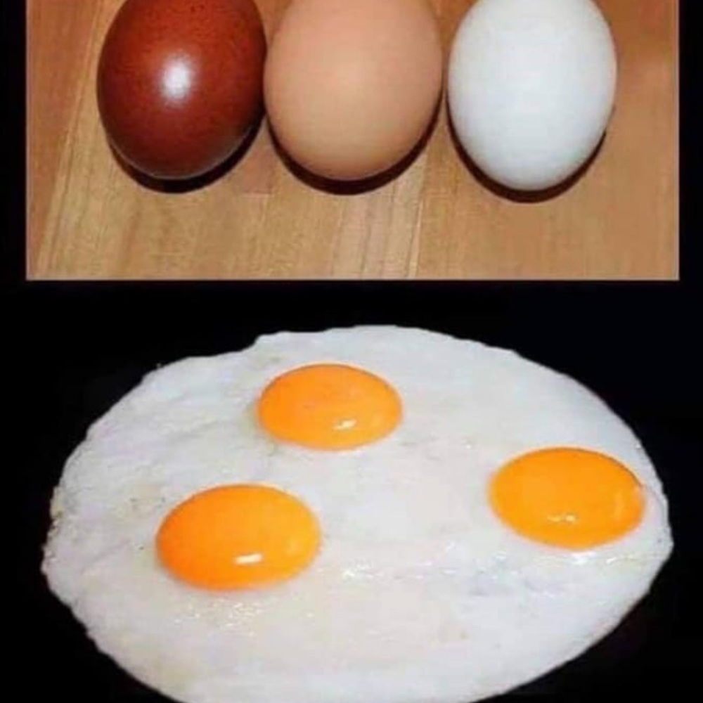 Meet your Posher, Anne Marie